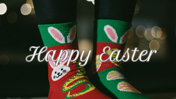 Organic Socks Manufacturer